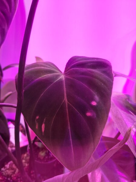 20211115_122705.jpg