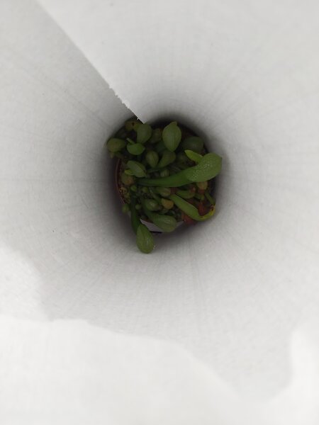 20211224_124851.jpg