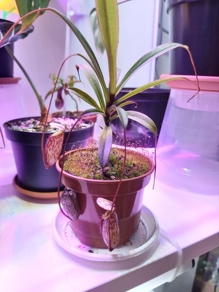 20220129_174514.jpg