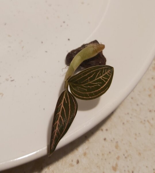 20220206_215451.jpg