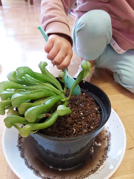 20220614_171015.jpg