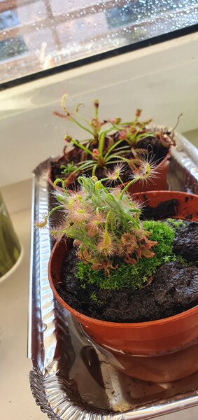 20220622_201058.jpg