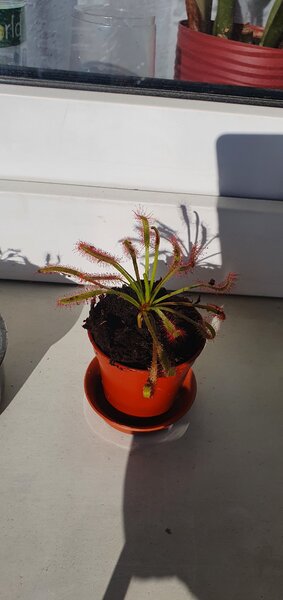 20220623_183527.jpg