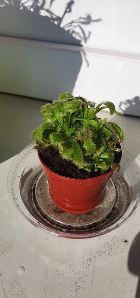 20220623_183545.jpg