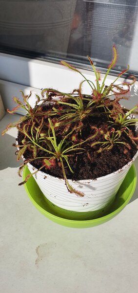 20220623_183558.jpg