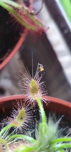 20220623_211338.jpg