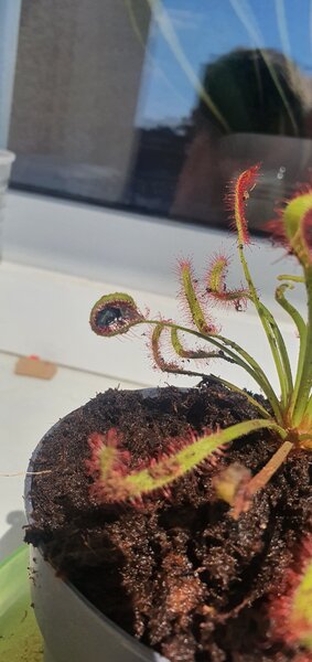 20220626_151912.jpg