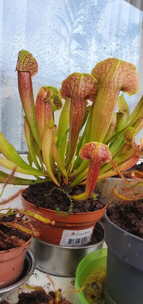 20220630_155005.jpg