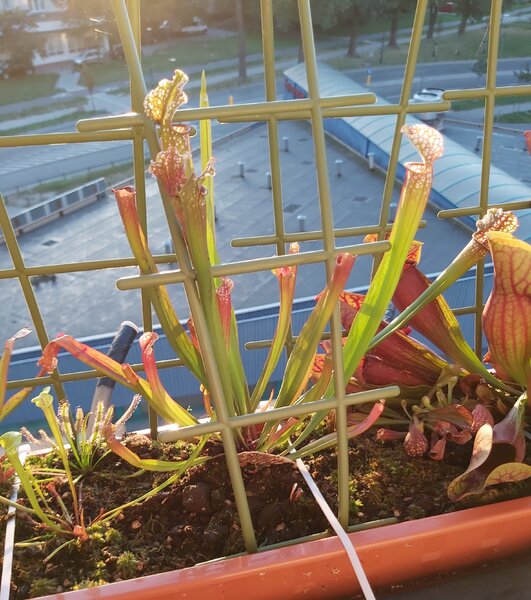 20220830_061133.jpg