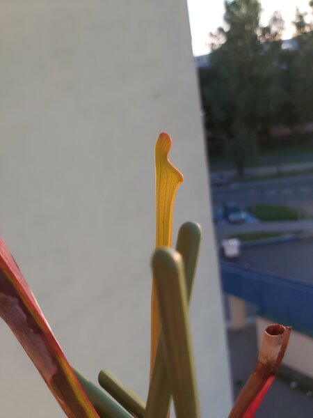 20220830_061215.jpg