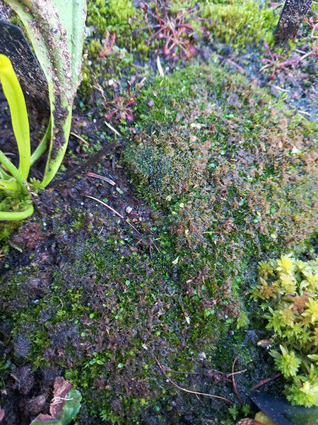 20220910_171658.jpg