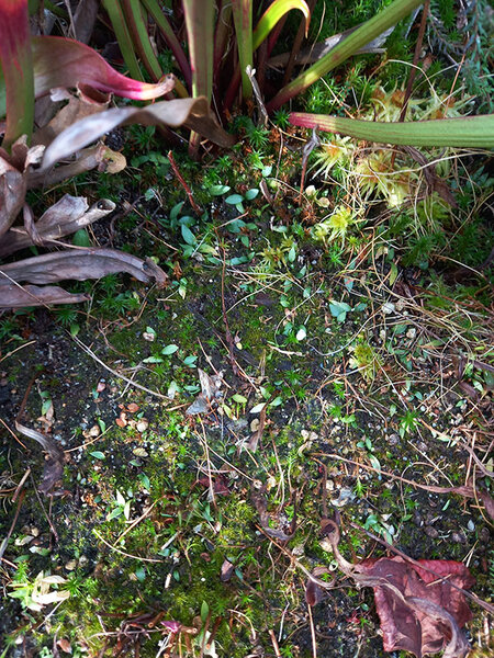 20221111_125752.jpg