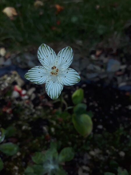 20201007_180444.jpg