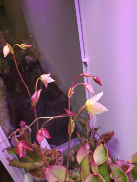 20230121_143838.jpg