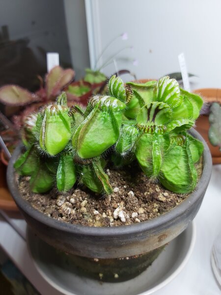 20230121_144044.jpg