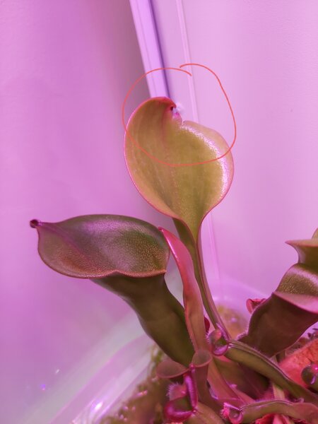 20230129_090111.jpg