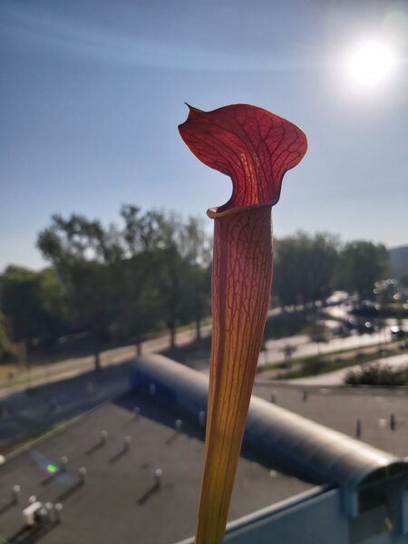 20230928_091643.jpg