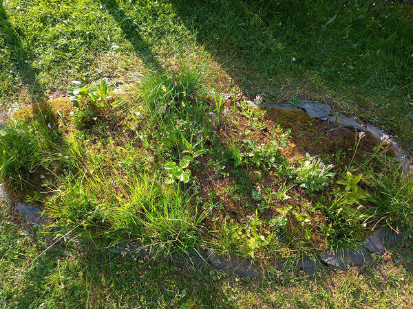 20230608_174253.jpg