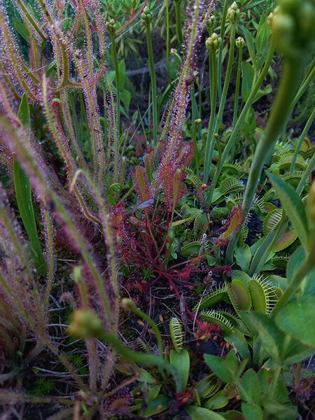 20230608_204306.jpg