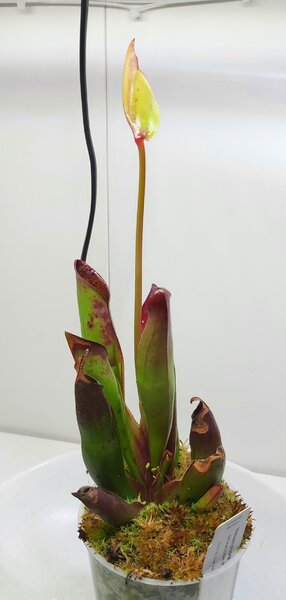 20240106_173456.jpg