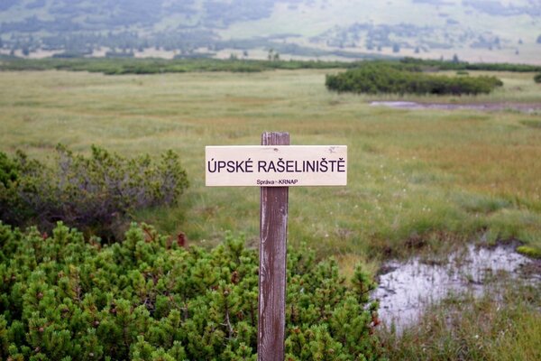 2018 - 07 - 06 (242).jpg