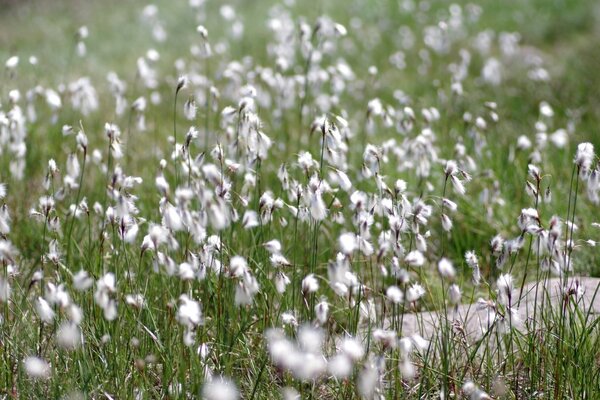 2019 - 07 - 04 (088).jpg