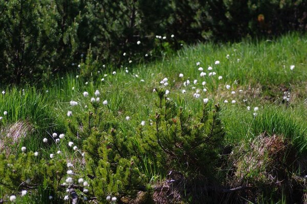 2022 - 06 - 24 (021).jpg