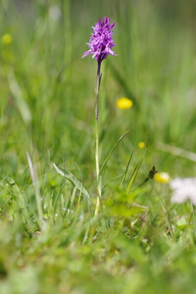 2022 - 06 - 24 (040).jpg