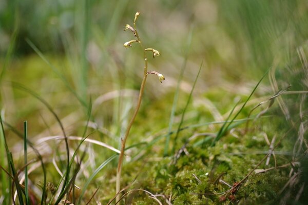 2022 - 06 - 24 (082).jpg