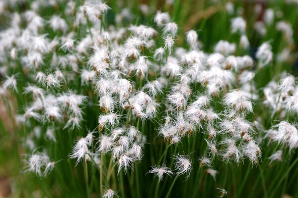 2023 - 05 - 19 (006).jpg