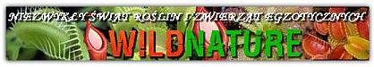 wildnature_m.jpg